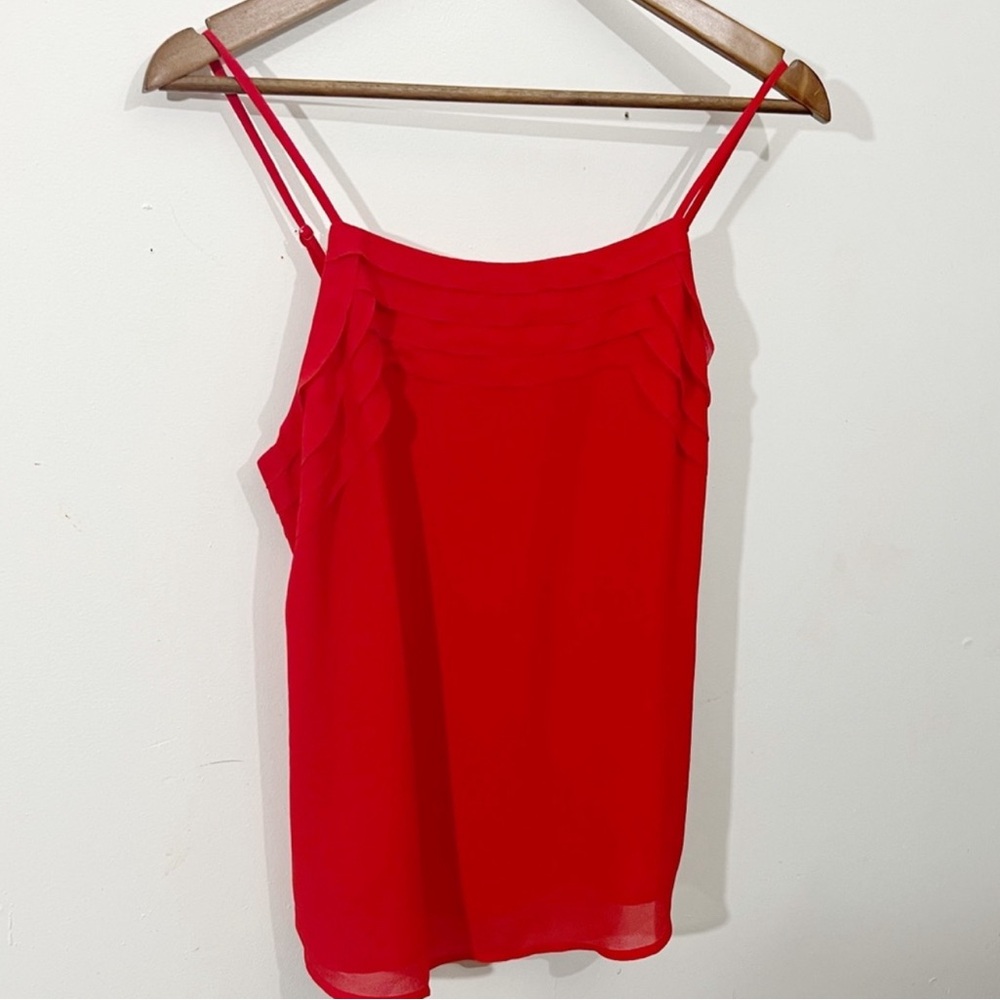 Naked Zebra Red Top